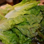 最近は家庭菜園をする方が増えてきています。